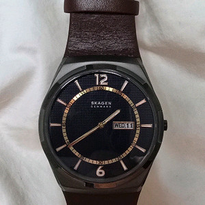 스카겐 (skagen) 시계 40mm