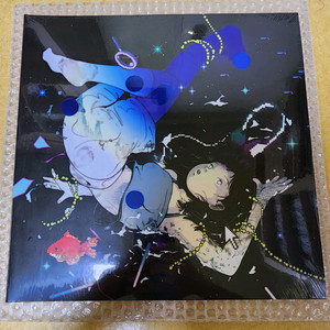 한로로 LP 이상비행 미개봉 새제품