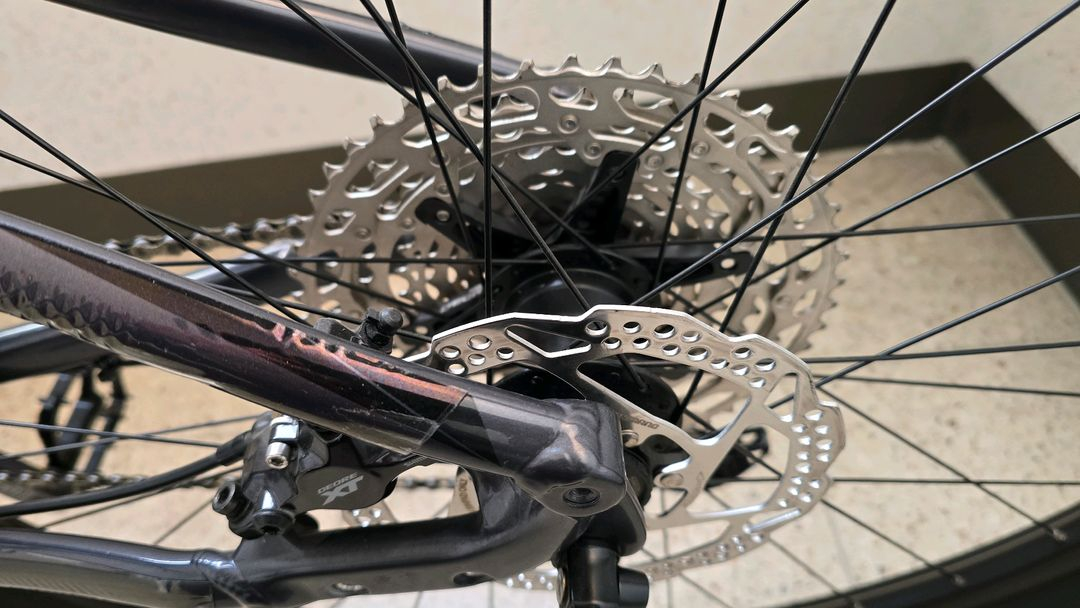 메리다 빅나인xt--8