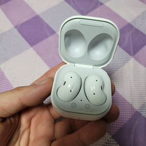 삼성 갤럭시 버즈 라이브 화이트 색상