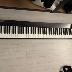 카시오 Privia PX-S110 디지털 피아노 블랙