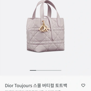 (새제품)디올 Dior Toujours 토트백 라벤더 그레이