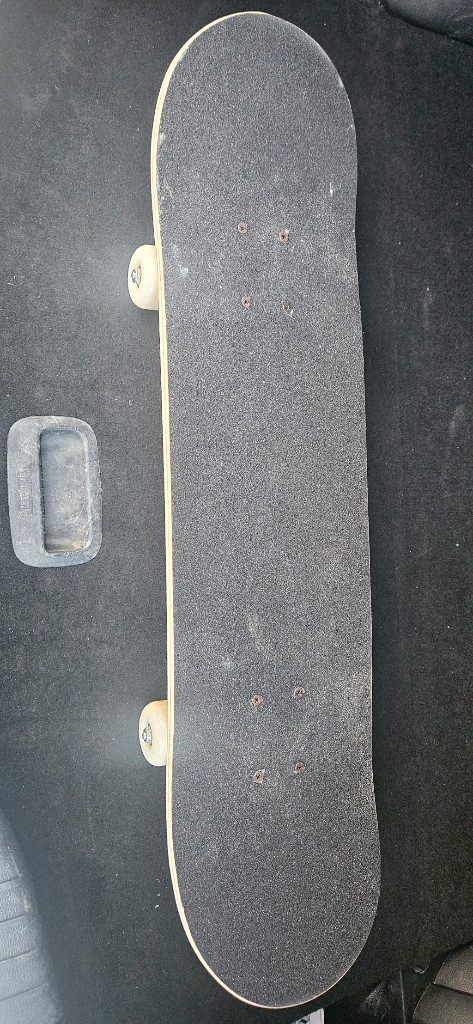 스투시 스케이트--1