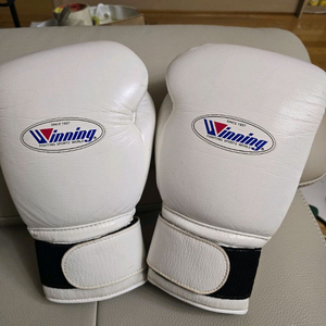 위닝 16온스 화이트 복싱글러브 이미지