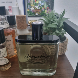 올팩티브 스튜디오 오토포트레이트 100ml