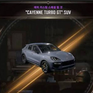 스팀배그 카이엔(완)+닉변권+그외 장패드 이미지