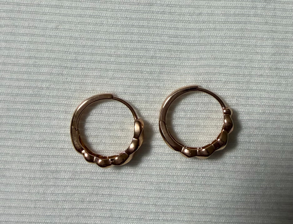 골든듀 엔텔로프 귀걸이(로골)--1