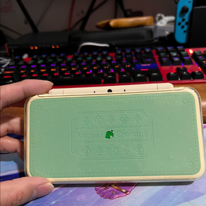 닌텐도DS 동물의숲 에디션