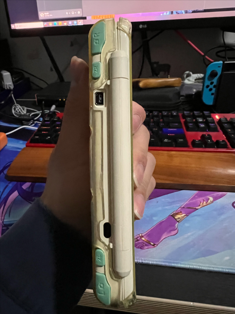 닌텐도DS 동물의숲 에디션--1