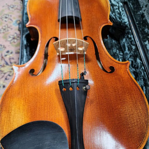 독일 잼링거 비올라 16인치