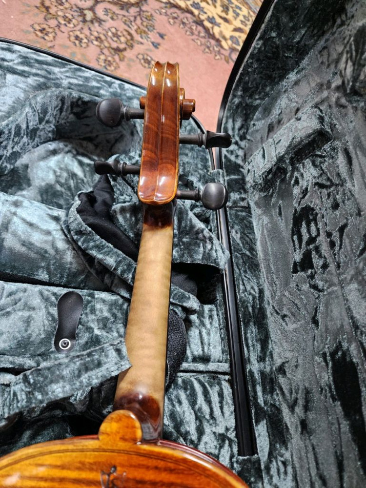 독일 잼링거 비올라 16인치--1