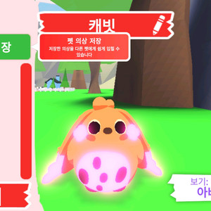 입양하세요 펫 메가 네온 캐빗(메캐빗)판매합니다