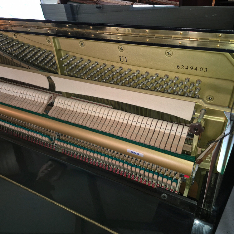 야마하최신모델U1--2