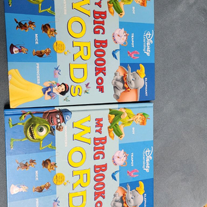 디즈니 월팸 my big book of words 이미지