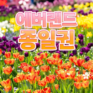 에버랜드 종일 자유이용권