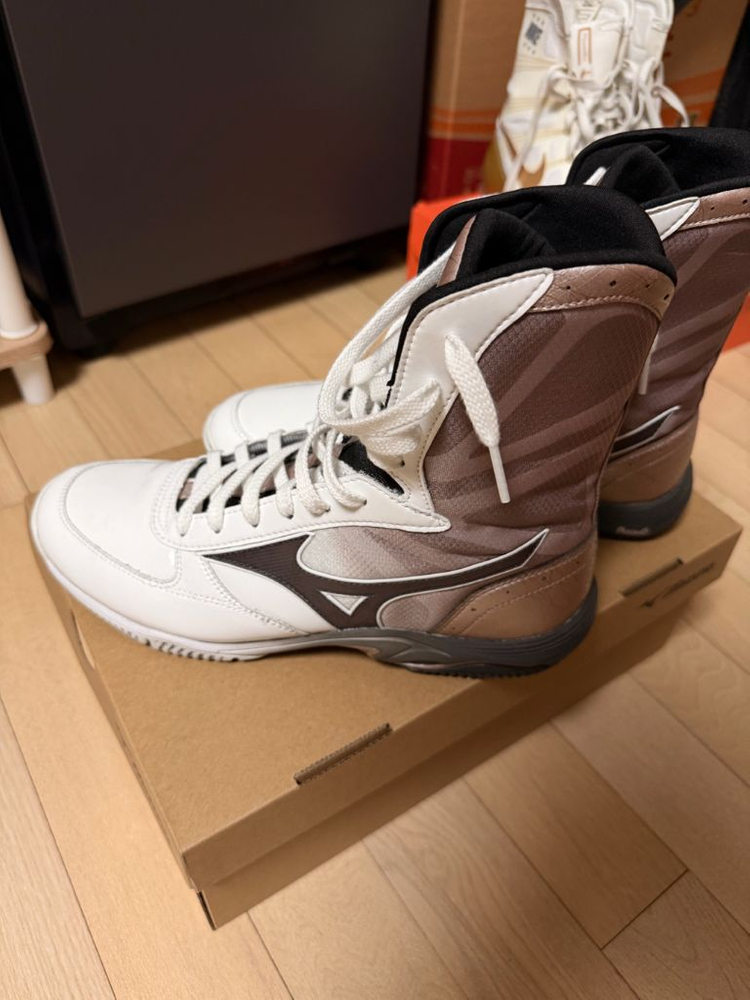 미즈노 웨이브 몬스터 270 복싱화 이미지