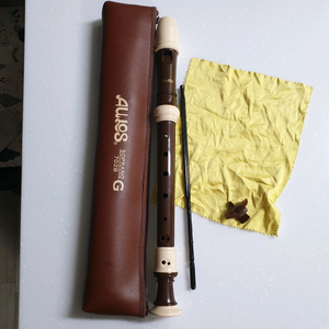 아울로스 소프라노 리코더 702B