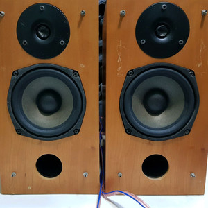 칼라스 아미코 스피커