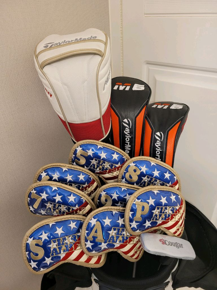 + 테일러메이드 + 남성용 골프채 풀세트 이미지