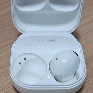 버즈2 프로 본체 (오른쪽 유닛x) 이미지