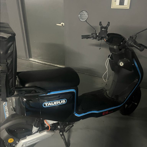 신품급) 타우러스es듀얼 전기스쿠터