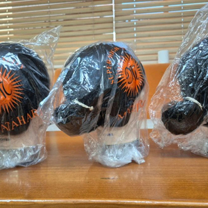 마타하리 국가자격증 새가발