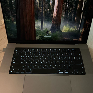 애플 맥북프로m2 16인치 16기가 1테라팝니다