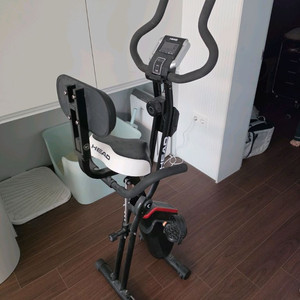 HEAD 실내자전거 (BC3980) 블랙 팝니다.