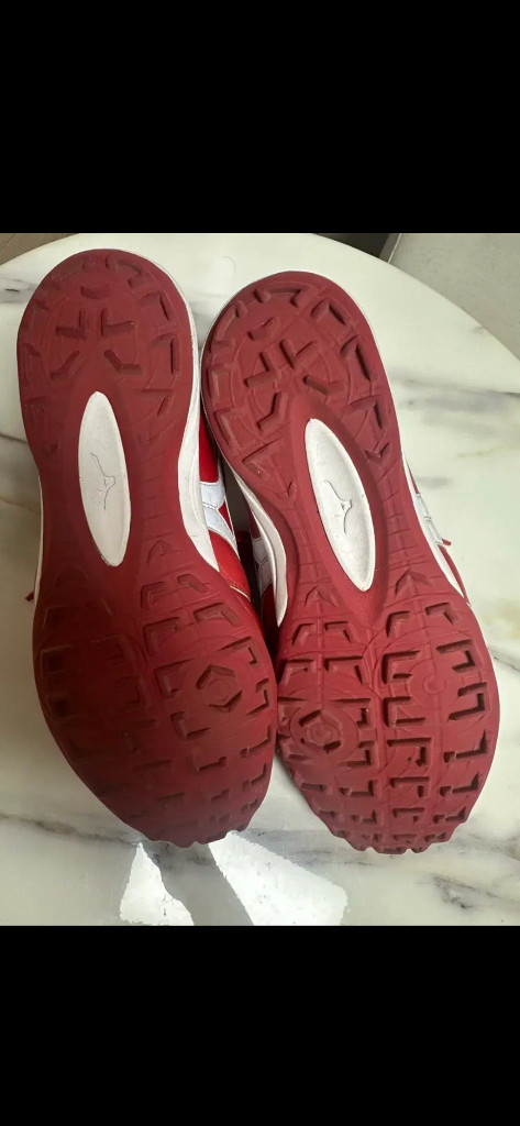 미즈노 살라재팬 265 이미지