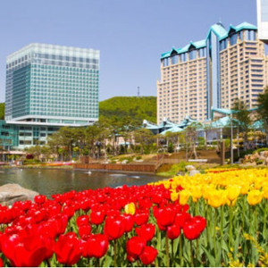 하이원 숙박 9만부터~~ 힐콘도 마운틴콘도