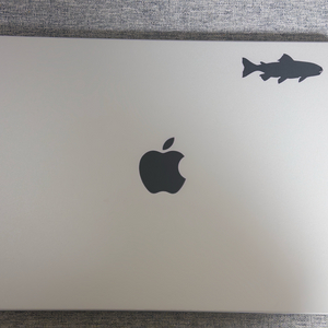 M4 pro 맥북프로 실버 14인치 애캐플