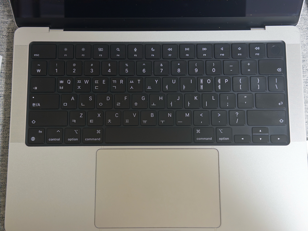 M4 pro 맥북프로 실버 14인치 애캐플--1