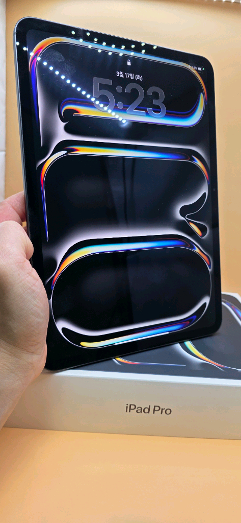 S급 아이패드프로11 m4 256기가 박스풀--8