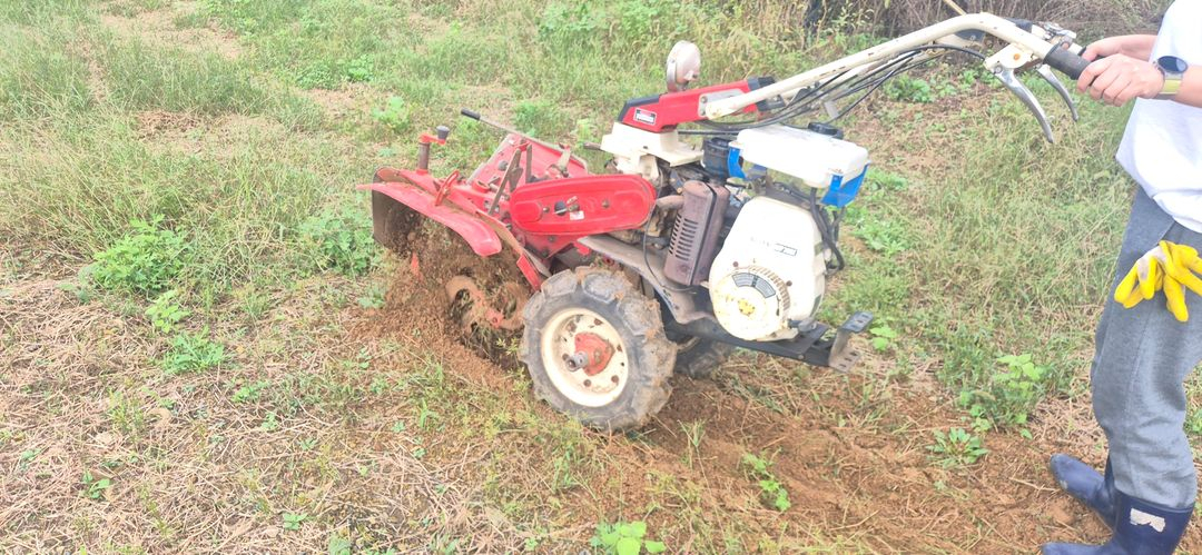 아세아 국제 동양 관리기 이미지