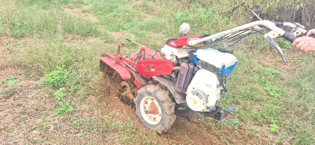 아세아 국제 동양 관리기 이미지