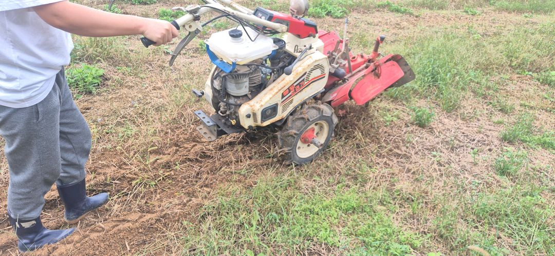 아세아 국제 동양 관리기 이미지