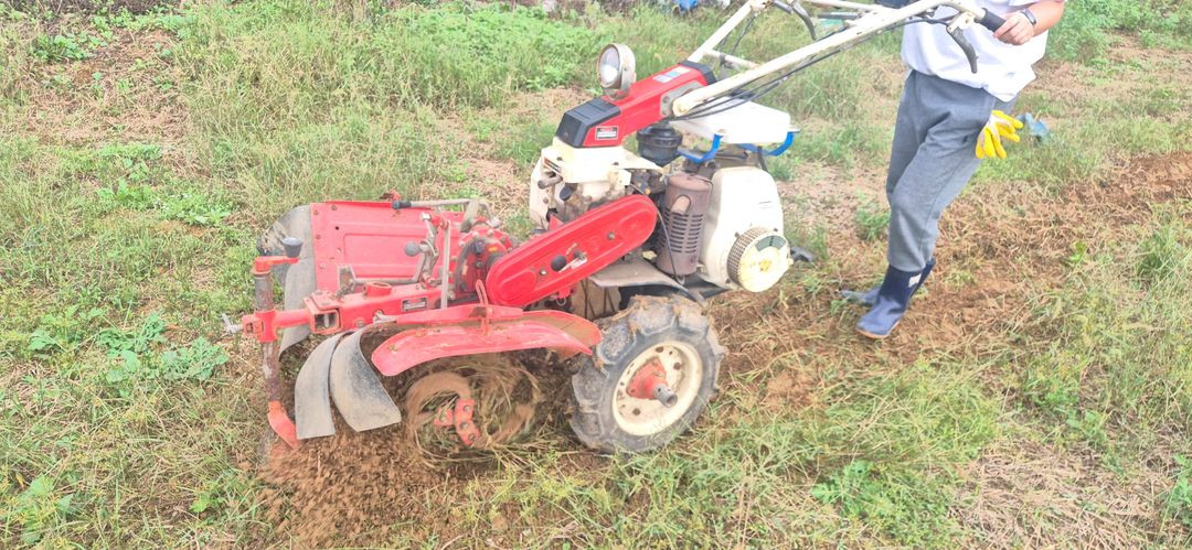 아세아 국제 동양 관리기 이미지