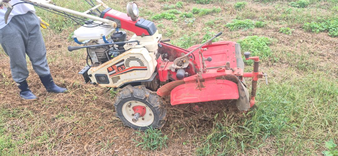 아세아 국제 동양 관리기 이미지