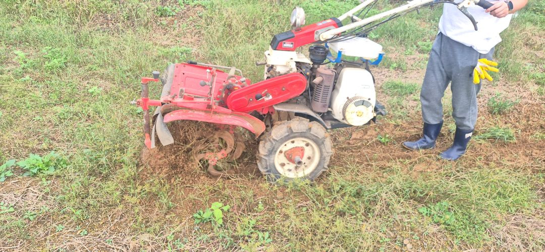 아세아 국제 동양 관리기 이미지