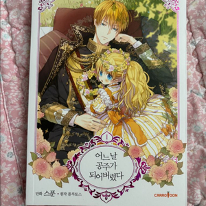 어느날 공주가 되어버렸다 1~4권 이미지