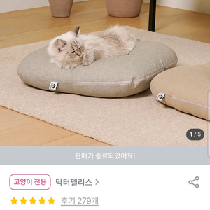 닥터펠리스 포캣네스트 브라운 고양이 방석 새거