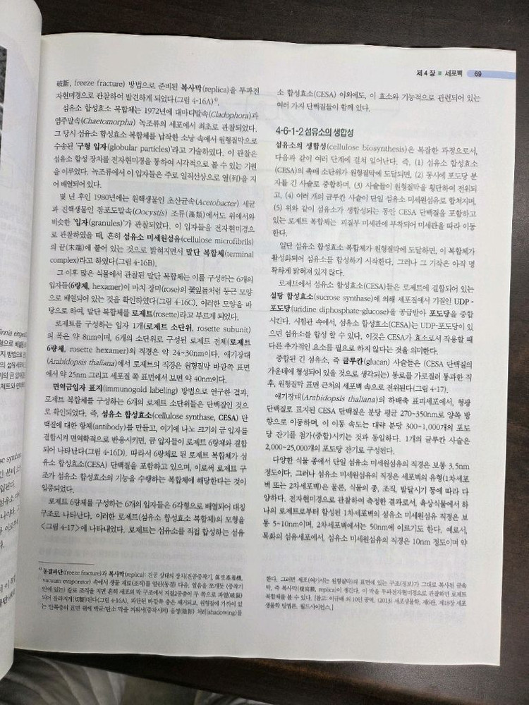 식물형태학 교재 이미지