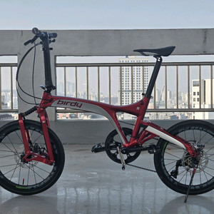 버디 R20 미니벨로 자전거 이미지