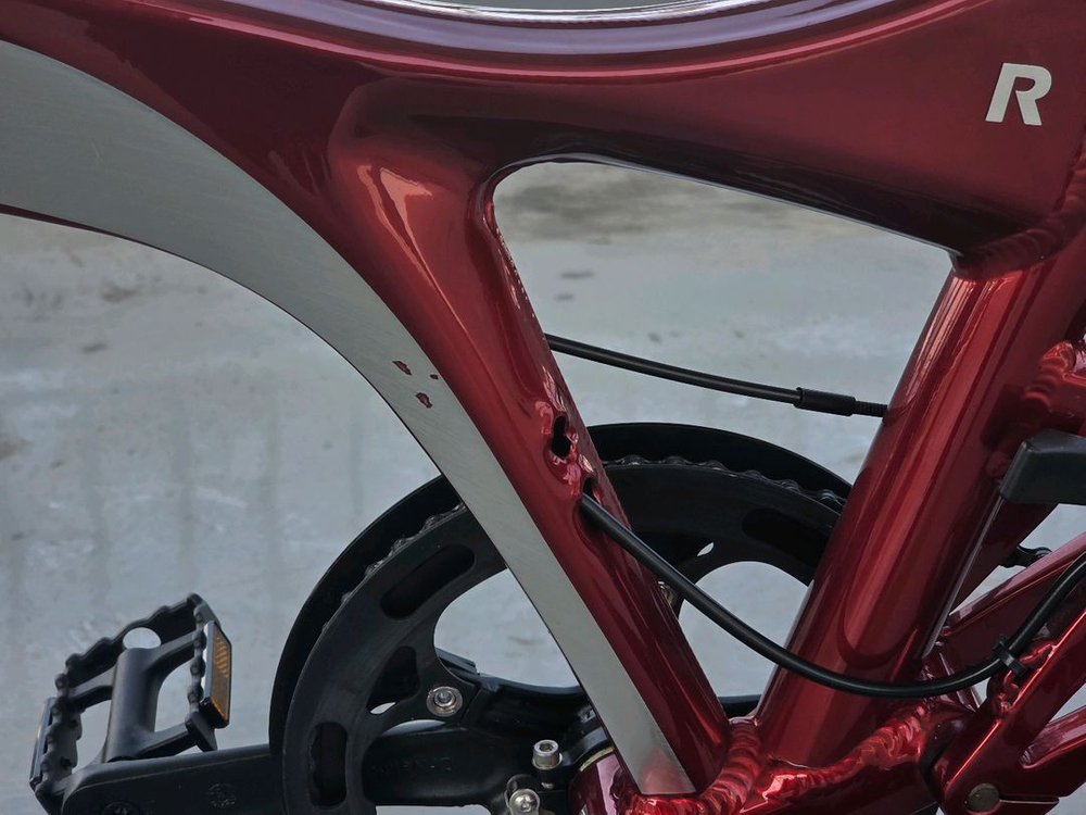 버디 R20 미니벨로 자전거 이미지