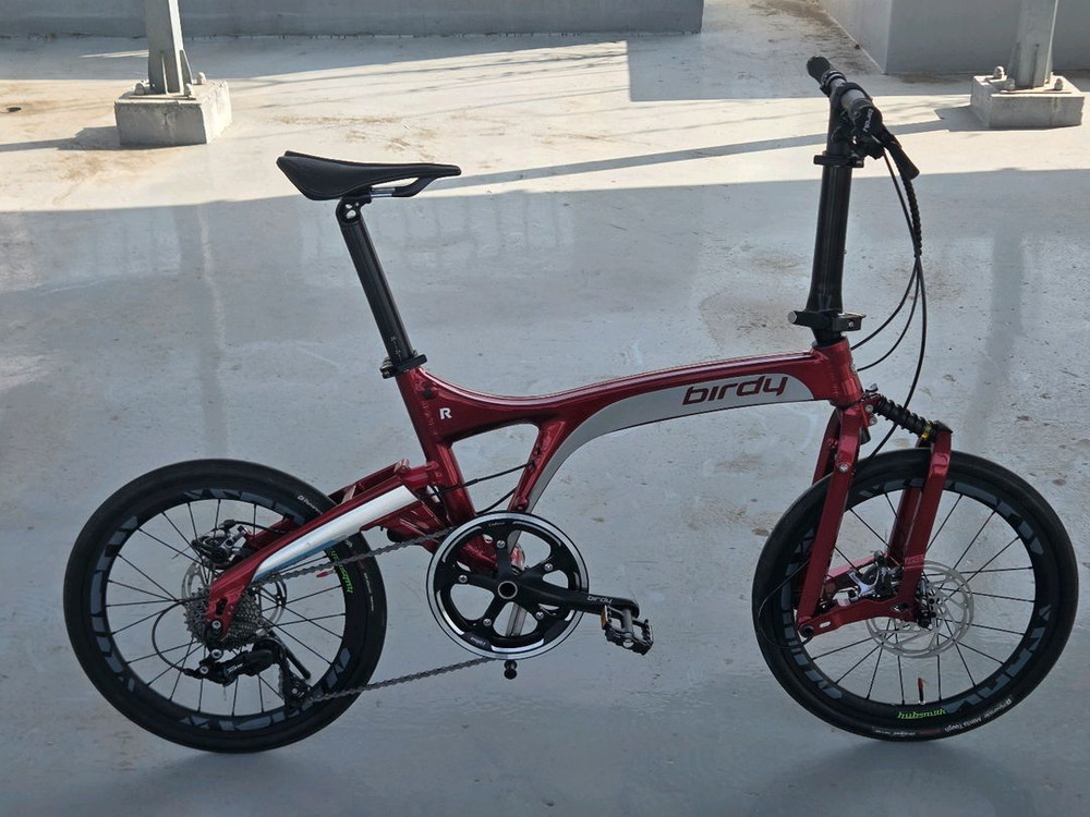 버디 R20 미니벨로 자전거 이미지