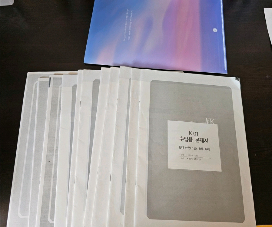 (미사용 급처) 시대인재 김은양t 수능 국어 컨텐츠--2