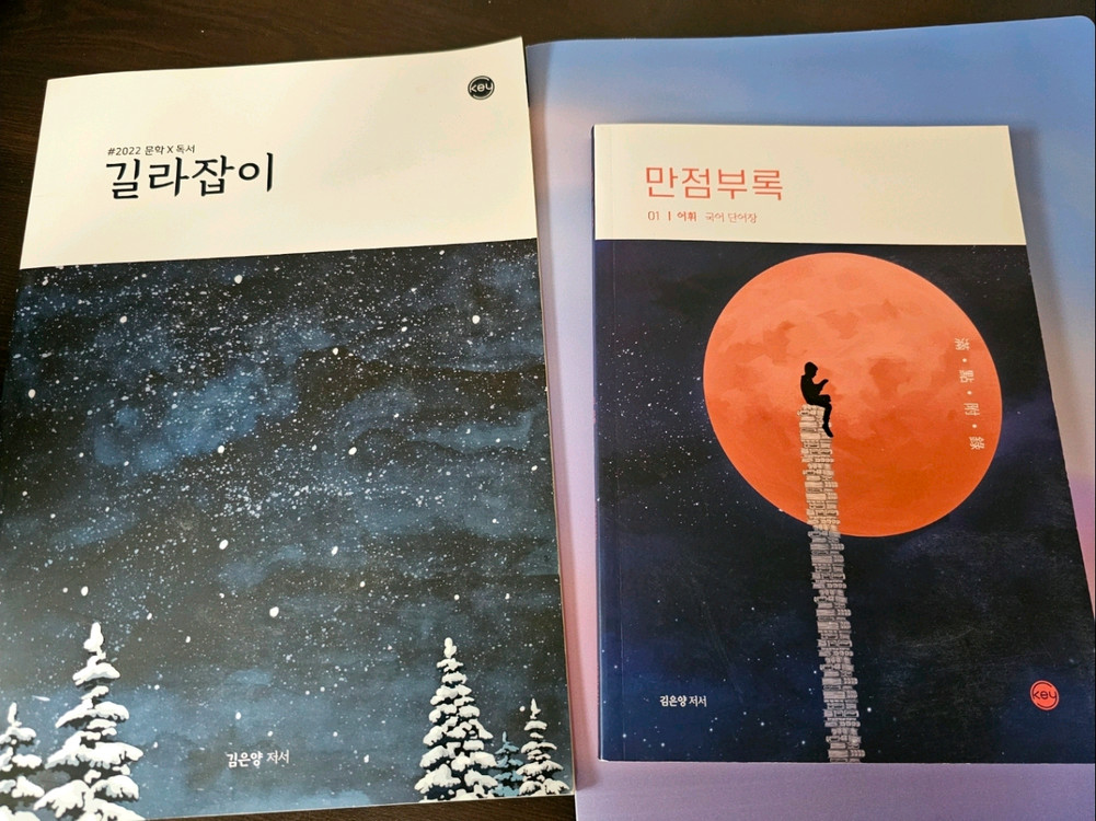 (미사용 급처) 시대인재 김은양t 수능 국어 컨텐츠--3