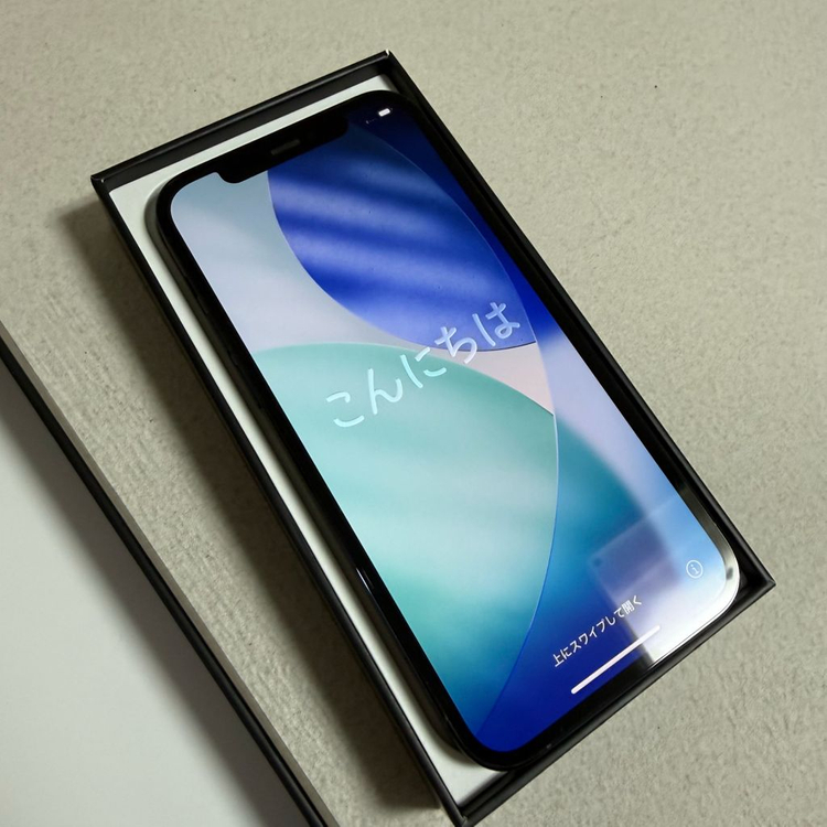 아이폰 12프로 256gb 퍼시픽블루 이미지