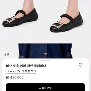 로저비비에 메리제인 36(235) 25fw신상 이미지