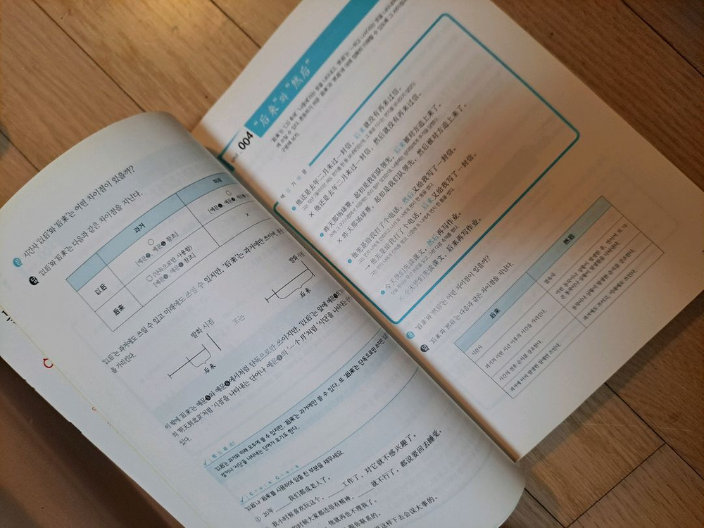 다락원 틀리기 쉬운 중국어 어법 201--1